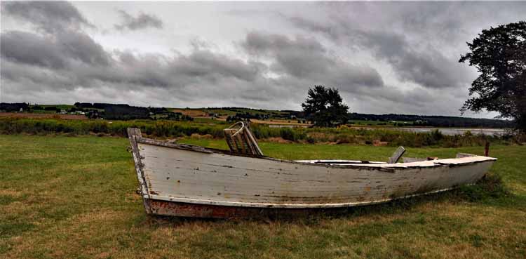 boat in grass
